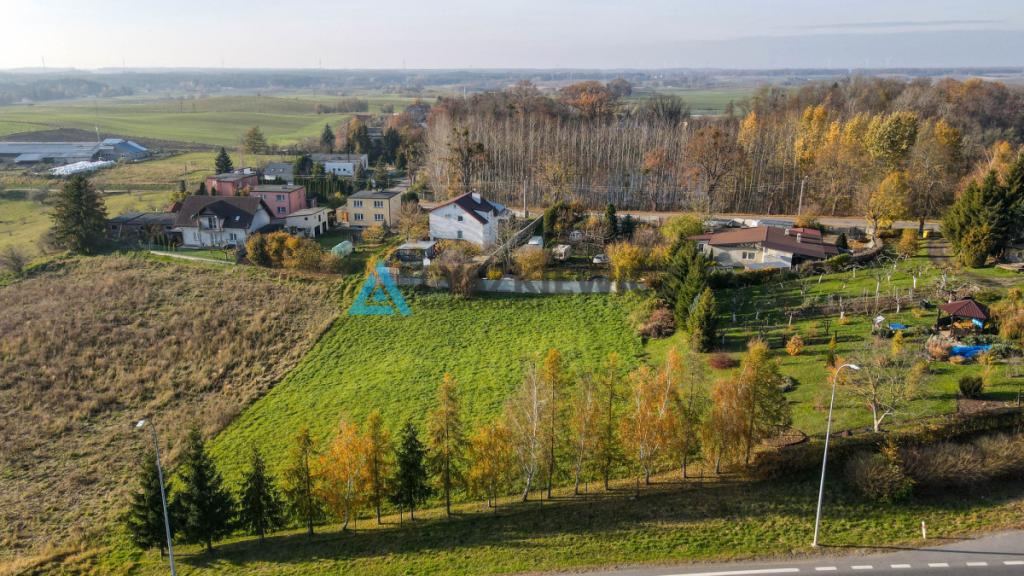 Działka z MPZP pod dom i biznes -Rakowiec, DK91 - zdjęcie 3