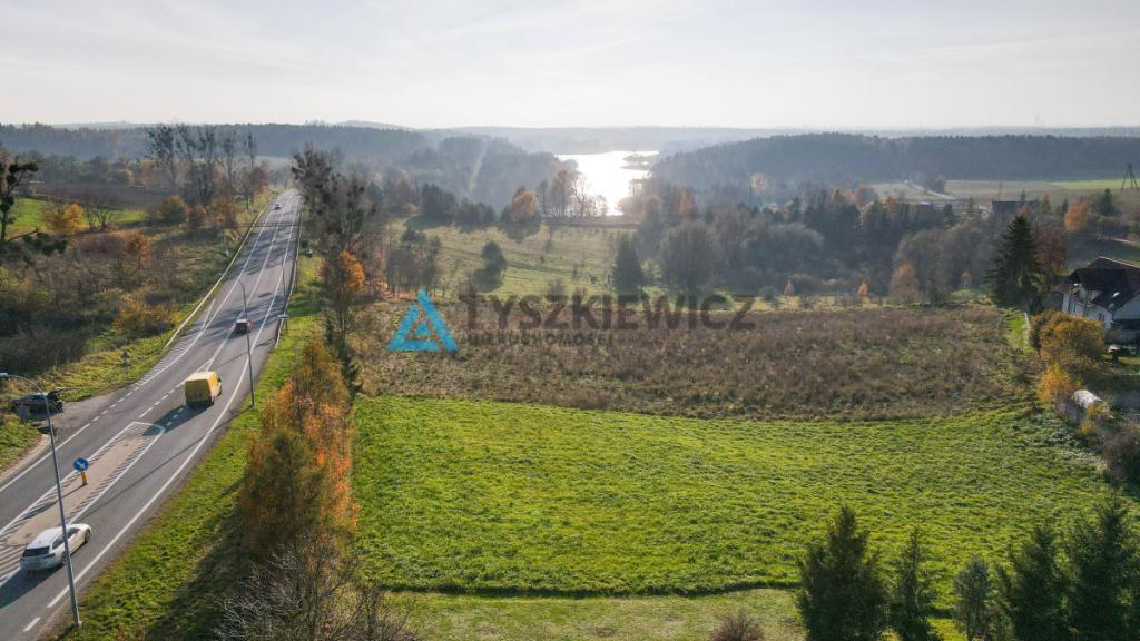 Działka z MPZP pod dom i biznes -Rakowiec, DK91 - zdjęcie 11