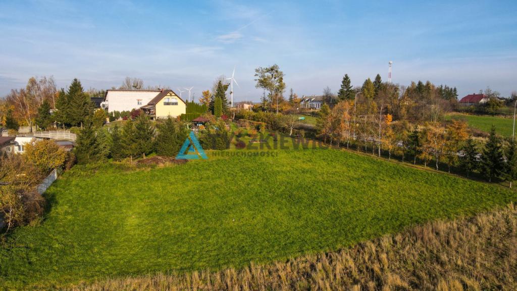 Działka z MPZP pod dom i biznes -Rakowiec, DK91 - zdjęcie 9