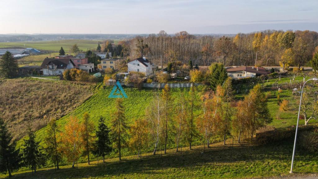 Działka z MPZP pod dom i biznes -Rakowiec, DK91 - zdjęcie 6