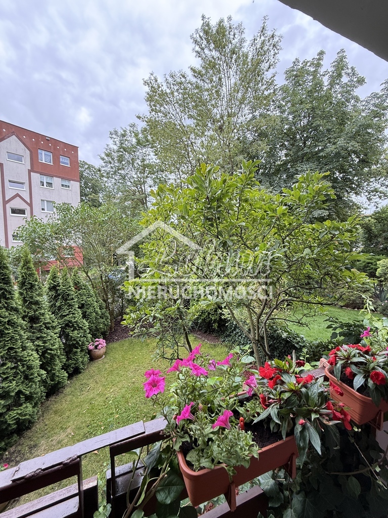 Mieszkanie 49,5&nbsp;m², Szczecin, Bukowe-Klęskowo, Czerwona - zdjęcie 12