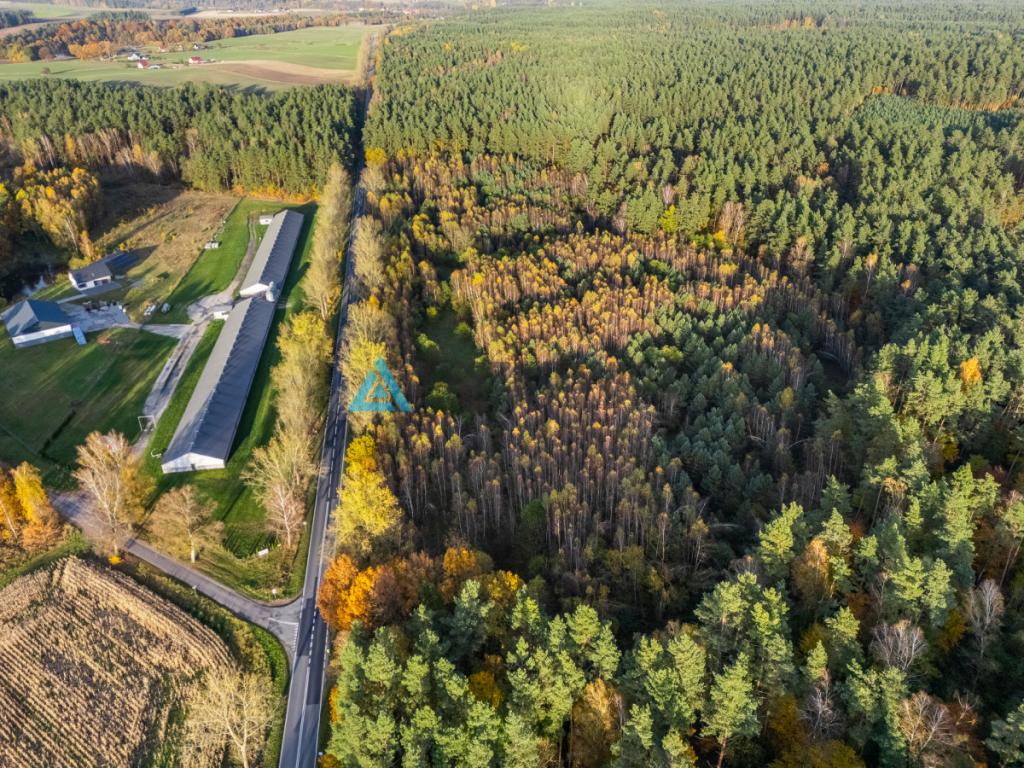 Ziemia rolna z potencjałem inwestycyjnym - Nożynko - zdjęcie 3
