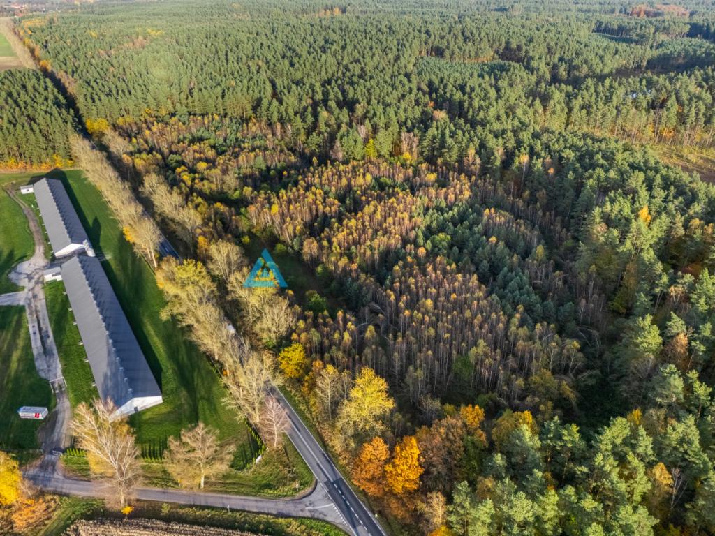 Ziemia rolna z potencjałem inwestycyjnym - Nożynko - zdjęcie 15