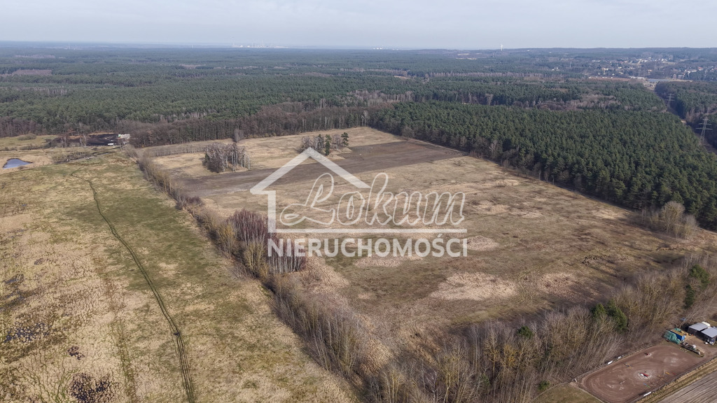 Działka budowlana 3000&nbsp;m², Wołczkowo - zdjęcie 6