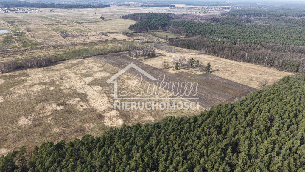 Działka budowlana 3000&nbsp;m², Wołczkowo - zdjęcie 4