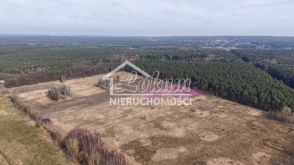 Działka budowlana 3000&nbsp;m², Wołczkowo - zdjęcie 2