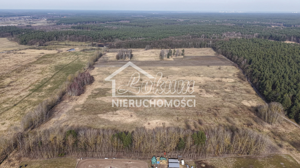 Działka budowlana 3000&nbsp;m², Wołczkowo - zdjęcie 3