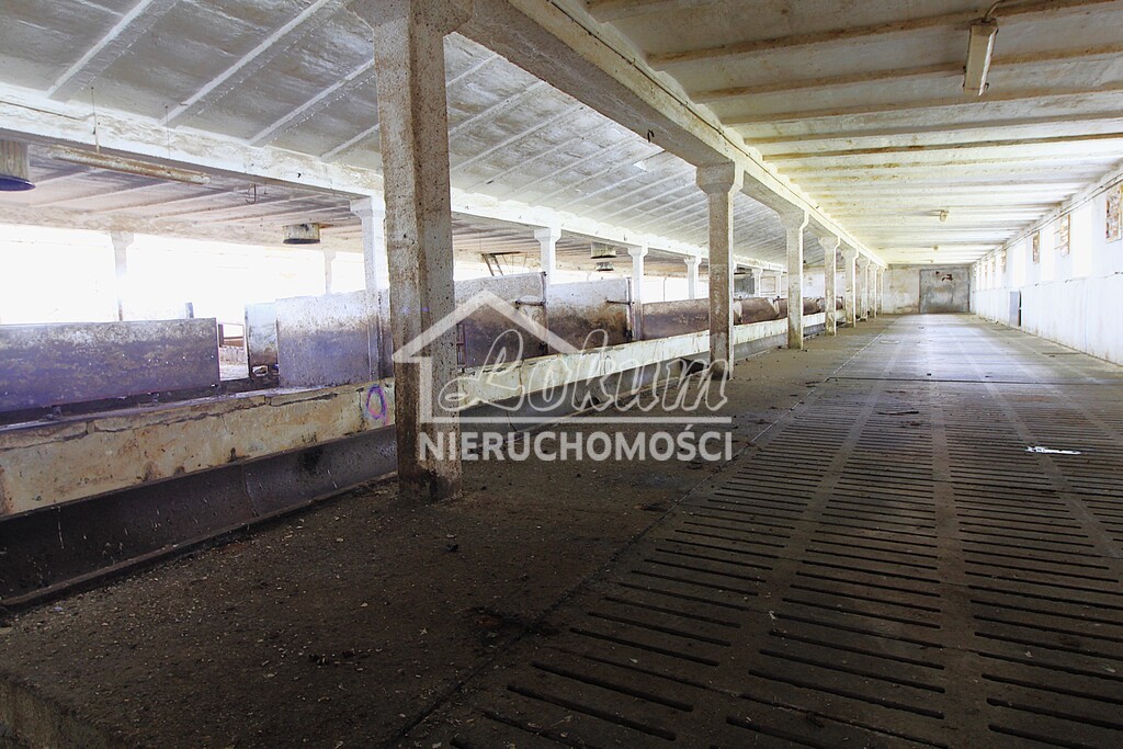 Magazyn na sprzedaż, 1951 m², Strzyżno - zdjęcie 7