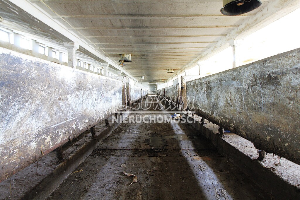 Magazyn na sprzedaż, 1951 m², Strzyżno - zdjęcie 8