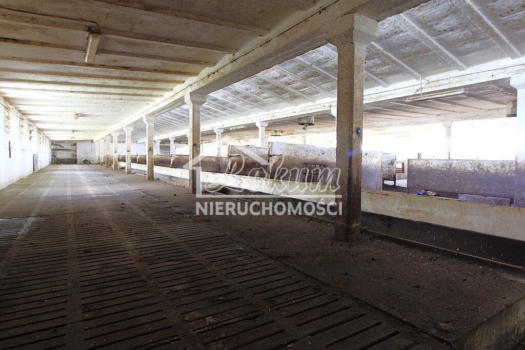 Magazyn na sprzedaż, 1951&nbsp;m², Strzyżno - zdjęcie 6