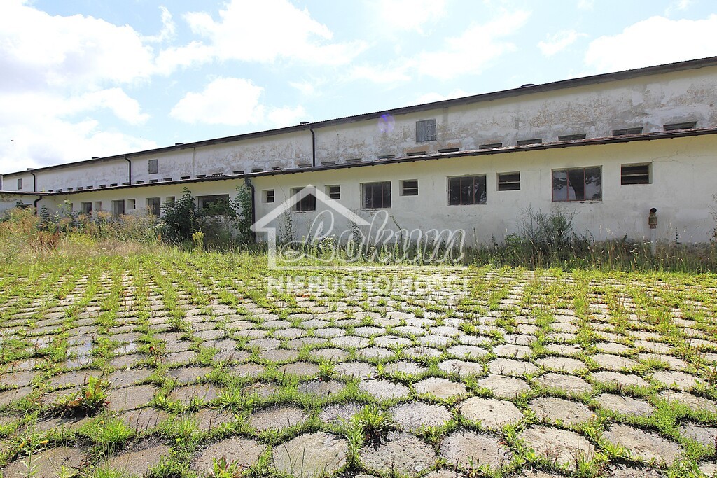 Magazyn na sprzedaż, 1951 m², Strzyżno - zdjęcie 5
