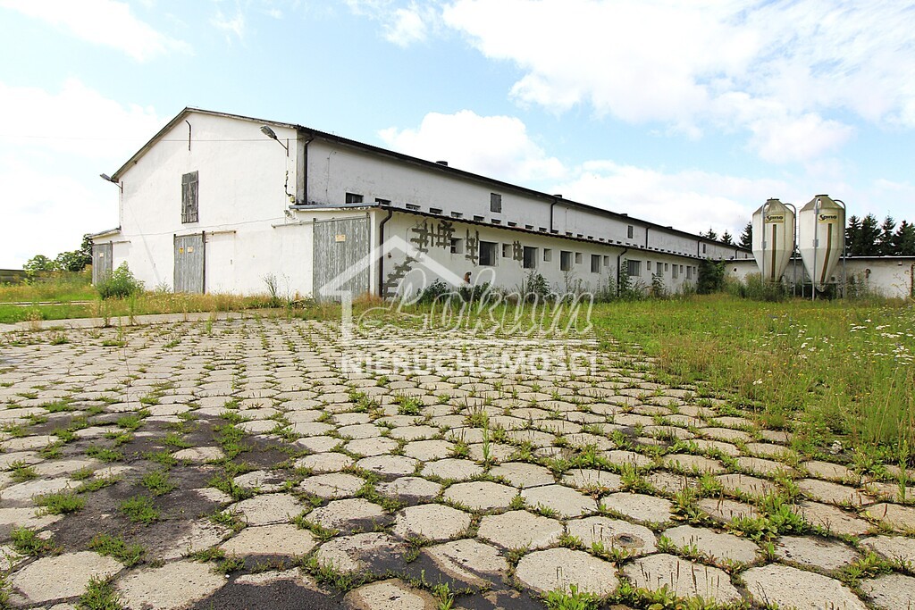 Magazyn na sprzedaż, 1951 m², Strzyżno - zdjęcie 1