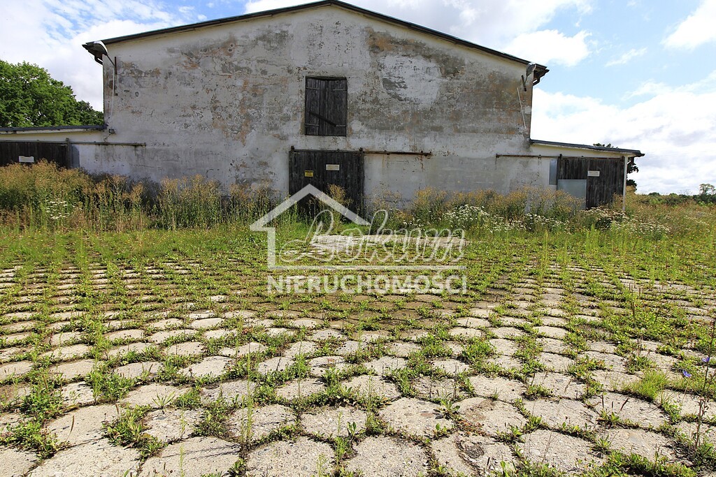 Magazyn na sprzedaż, 1951 m², Strzyżno - zdjęcie 4
