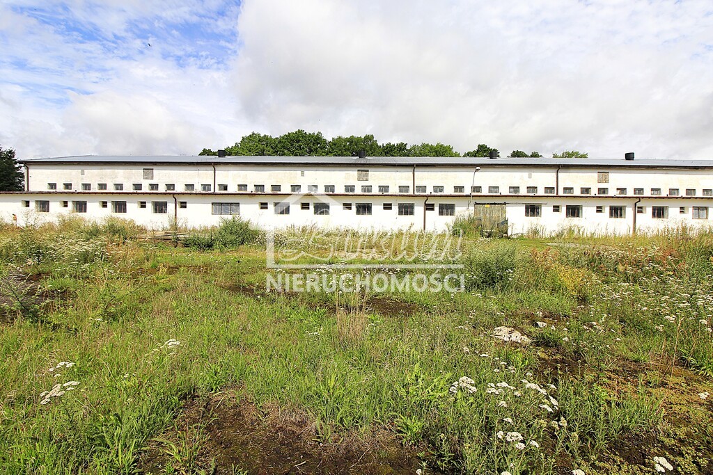 Magazyn na sprzedaż, 1951 m², Strzyżno - zdjęcie 3