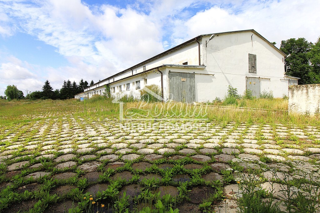 Magazyn na sprzedaż, 1951&nbsp;m², Strzyżno - zdjęcie 1