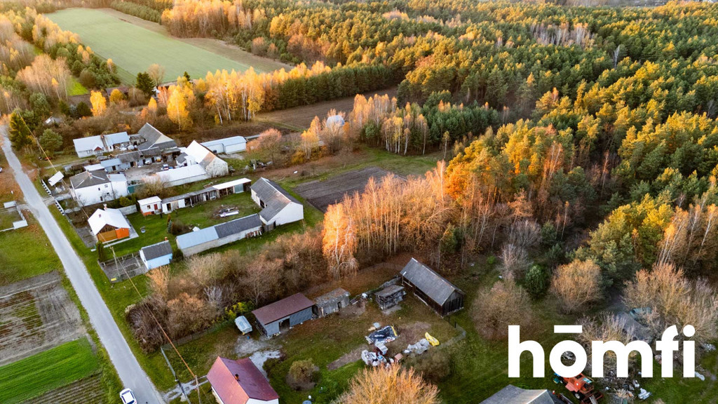 Działka budowlana 3100 m², Siekierka Nowa - zdjęcie 7