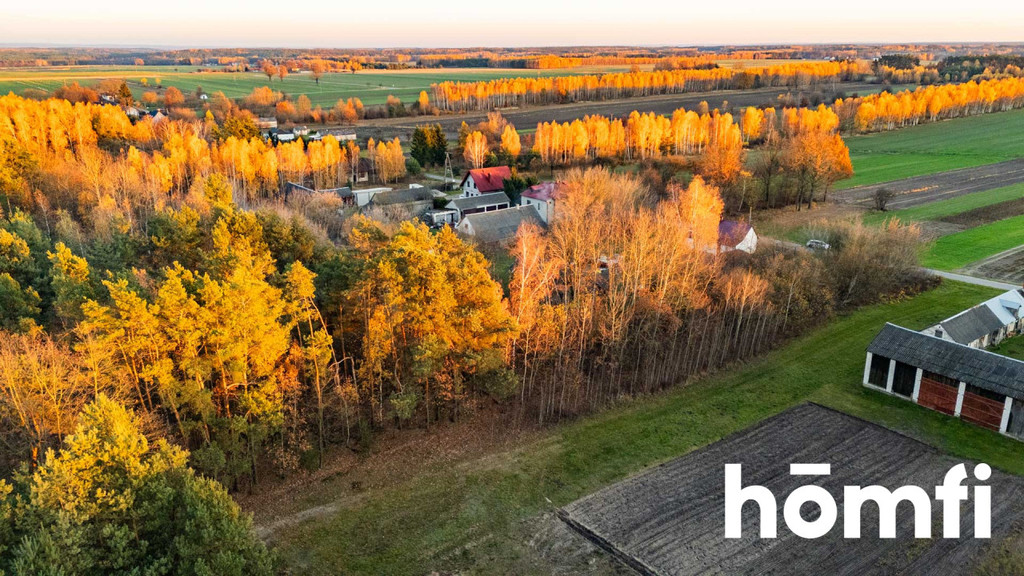 Działka budowlana 3100 m², Siekierka Nowa - zdjęcie 10