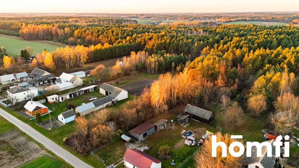 Działka budowlana 3100 m², Siekierka Nowa - zdjęcie 8