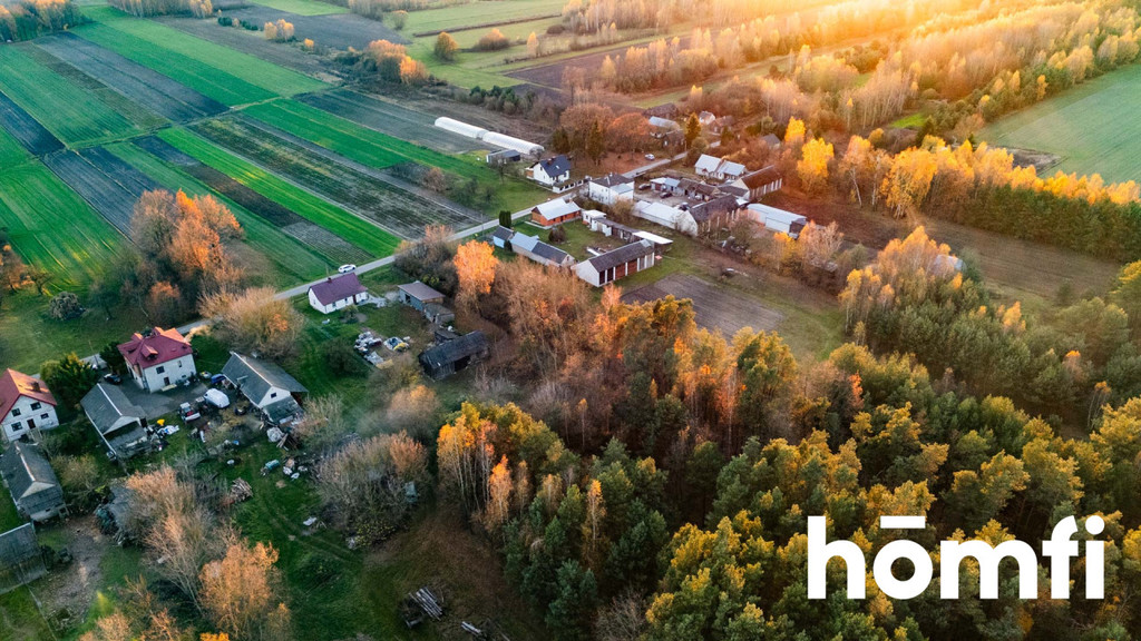 Działka budowlana 3100 m², Siekierka Nowa - zdjęcie 6
