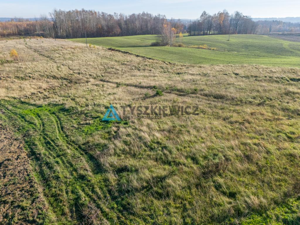 Kaszubskie tereny pod Kartuzami! Działki Brodnica - zdjęcie 12