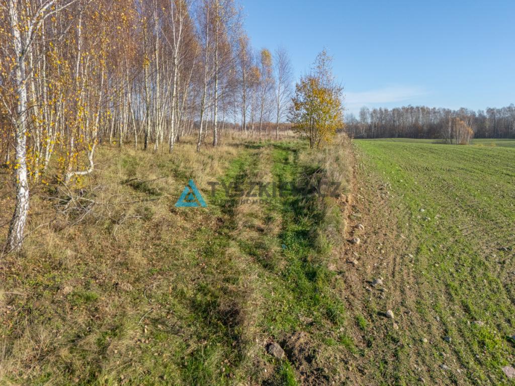 Kaszubskie tereny pod Kartuzami! Działki Brodnica - zdjęcie 15