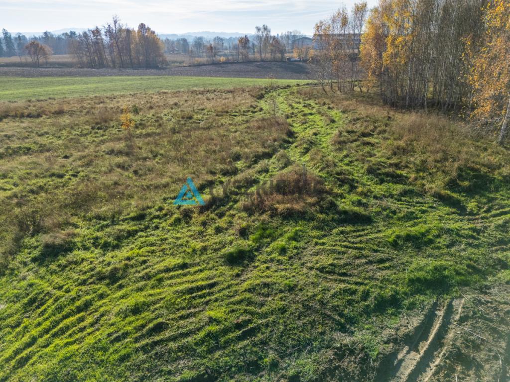 Kaszubskie tereny pod Kartuzami! Działki Brodnica - zdjęcie 13
