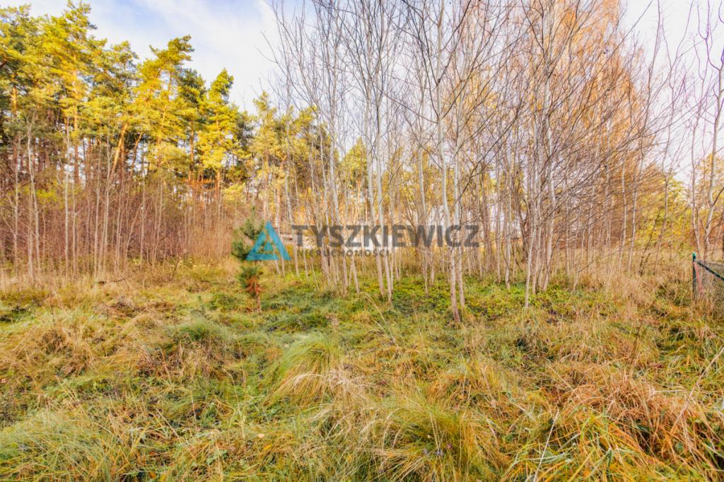 Działka blisko jeziora w spokojnym sąsiedztwie. - zdjęcie 24