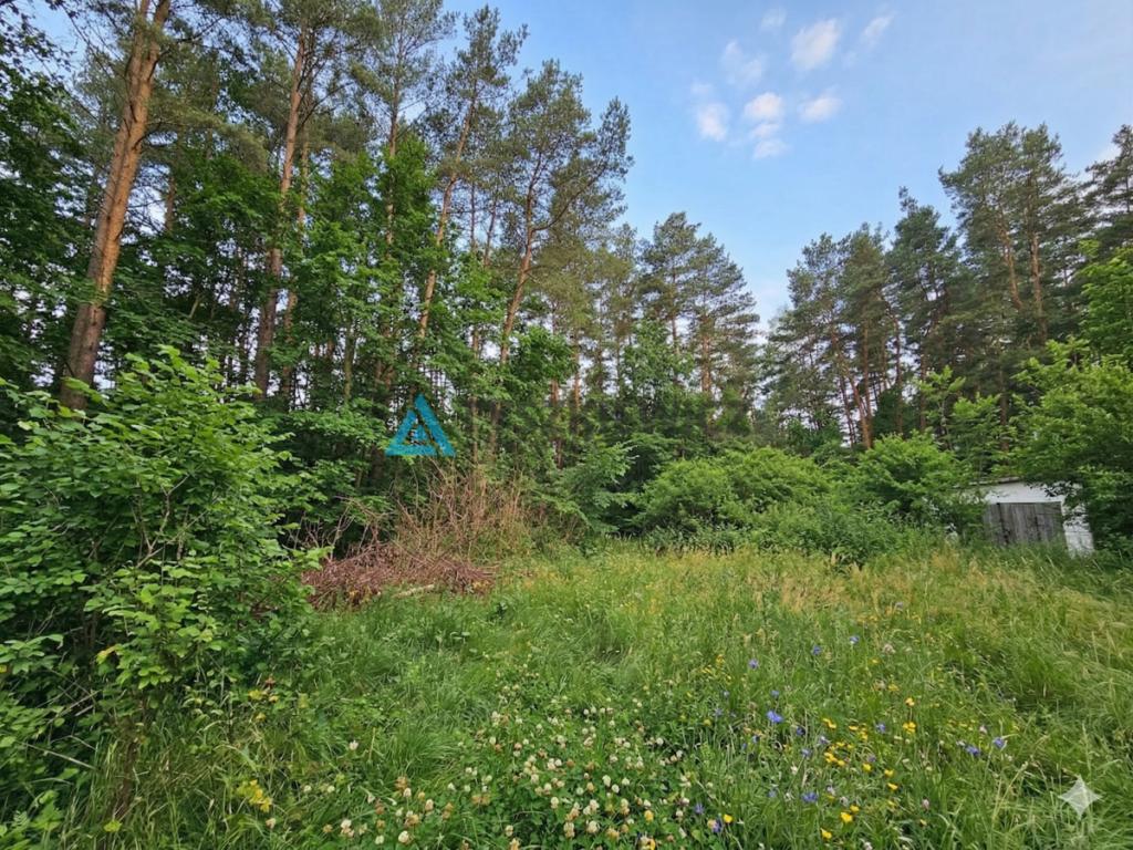 Działka blisko jeziora w spokojnym sąsiedztwie. - zdjęcie 8