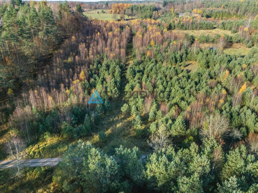 Duża tania działka tuż przy drodze krajowej nr. 20 - zdjęcie 15