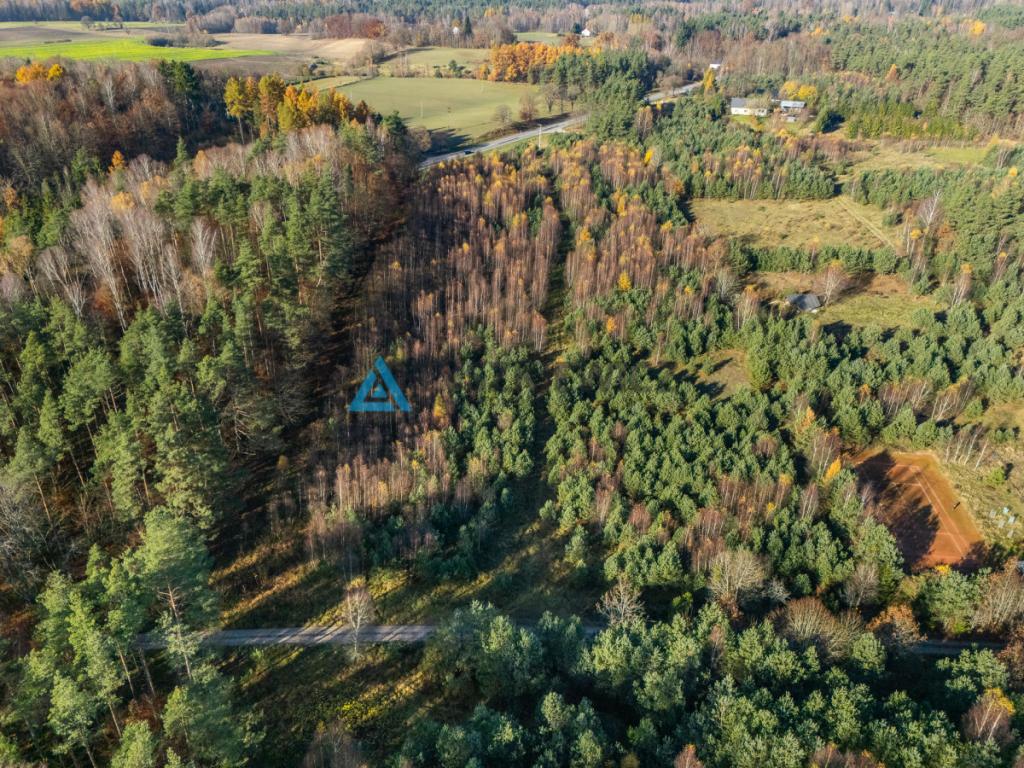 Duża tania działka tuż przy drodze krajowej nr. 20 - zdjęcie 12