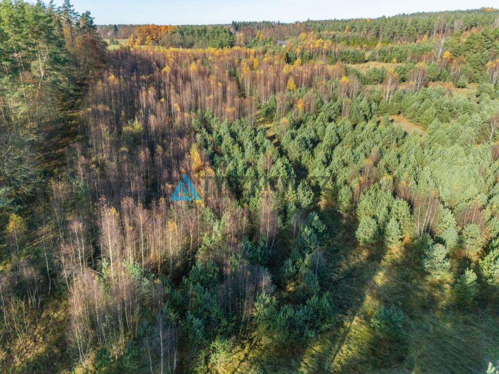 Duża tania działka tuż przy drodze krajowej nr. 20 - zdjęcie 17