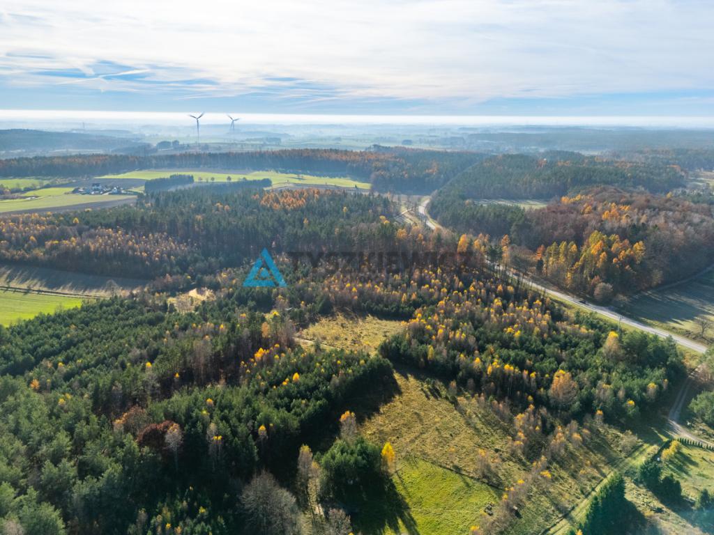 Duża tania działka tuż przy drodze krajowej nr. 20 - zdjęcie 4