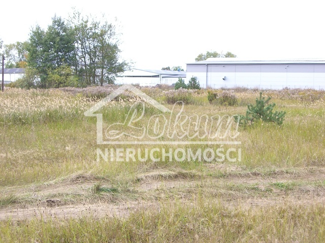 Działka inwestycyjna 3216&nbsp;m², Dobra - zdjęcie 5