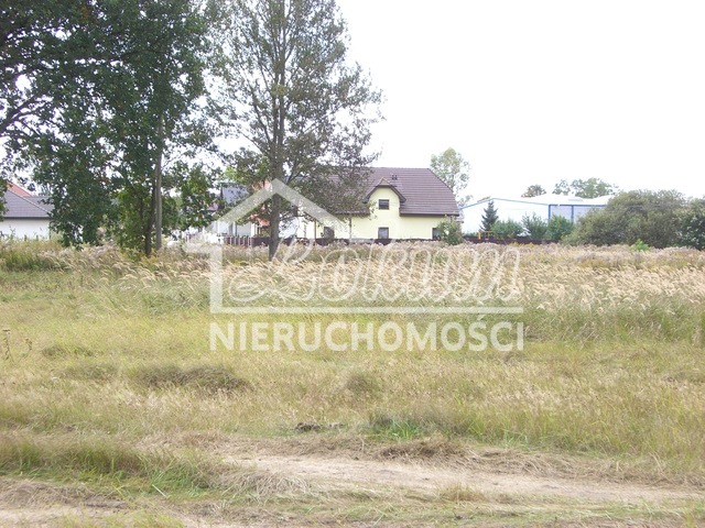 Działka inwestycyjna 3216 m², Dobra - zdjęcie 4