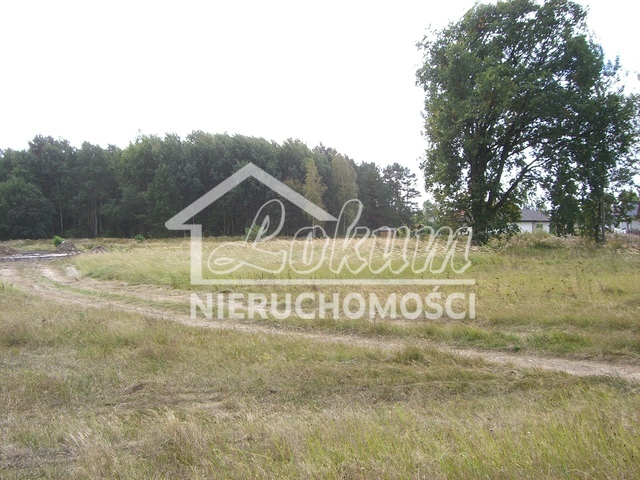 Działka inwestycyjna 3216&nbsp;m², Dobra - zdjęcie 3