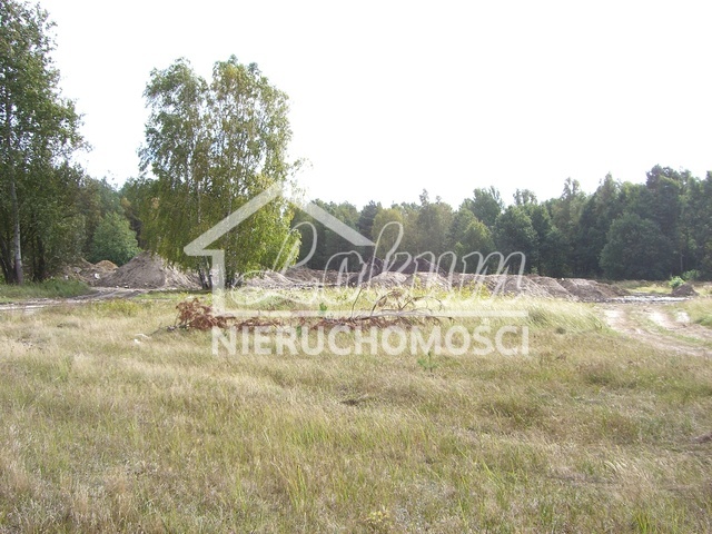 Działka inwestycyjna 3216 m², Dobra - zdjęcie 2