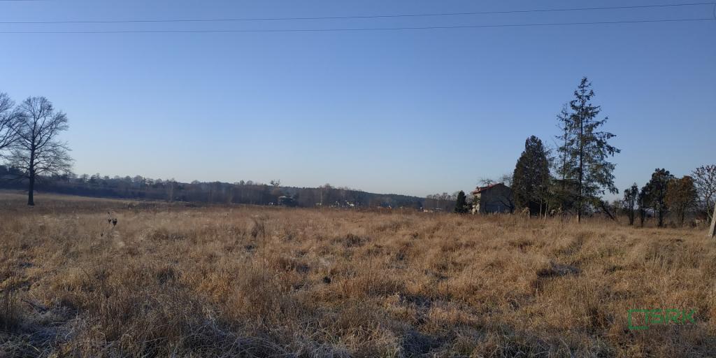 Działka inwestycyjna 7957&nbsp;m², Suszec, Łąkowa - zdjęcie 2