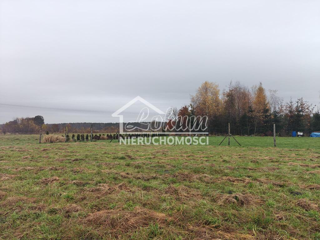 Działka budowlana 1063&nbsp;m², Żdżary - zdjęcie 3