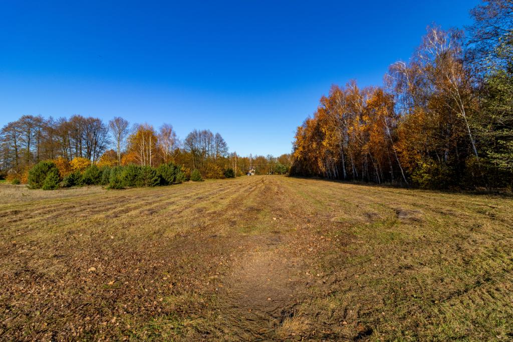 Działka budowlana 5150 m², Stare Krasnodęby - zdjęcie 7