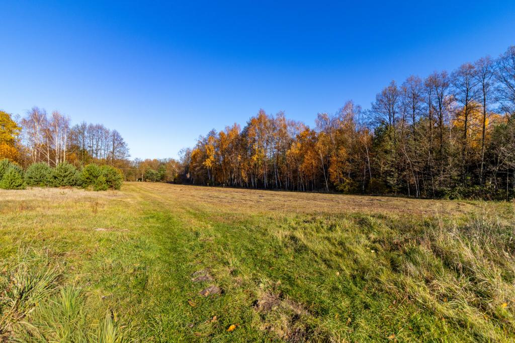 Działka budowlana 5150 m², Stare Krasnodęby - zdjęcie 10