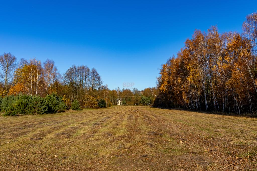 Działka budowlana 5150 m², Stare Krasnodęby - zdjęcie 8