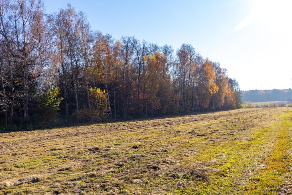 Działka budowlana 5150 m², Stare Krasnodęby - zdjęcie 11