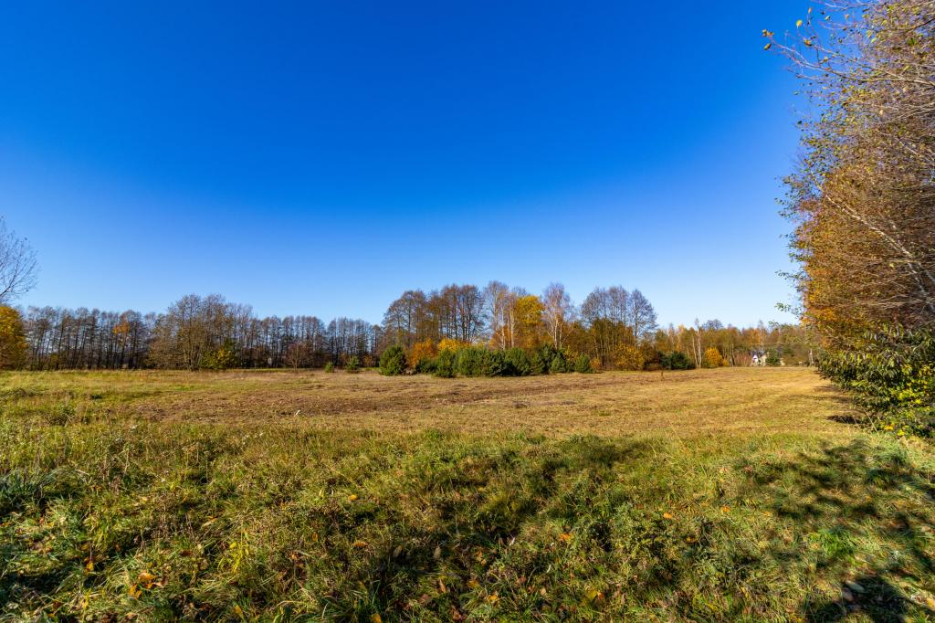 Działka budowlana 5150 m², Stare Krasnodęby - zdjęcie 9