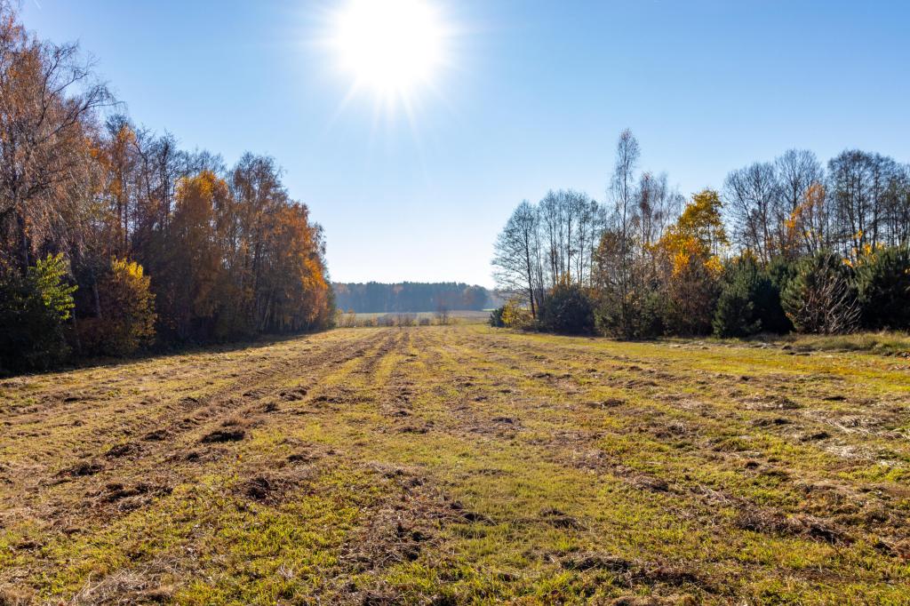 Działka budowlana 5150 m², Stare Krasnodęby - zdjęcie 4