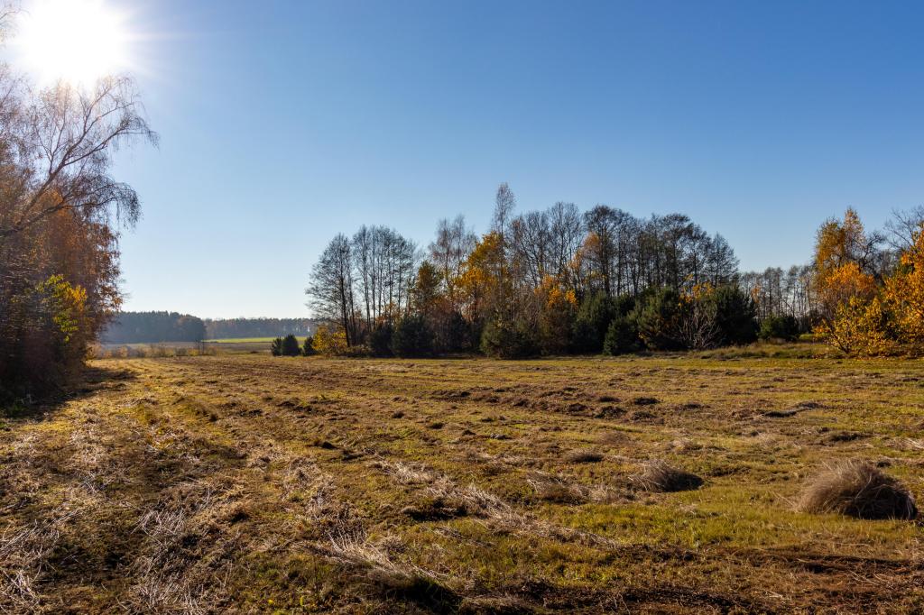 Działka budowlana 5150 m², Stare Krasnodęby - zdjęcie 3