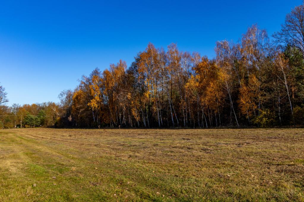 Działka budowlana 5150 m², Stare Krasnodęby - zdjęcie 2