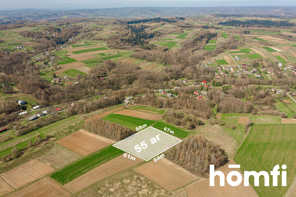 Działka budowlana 5500 m², Szkodna - zdjęcie 1