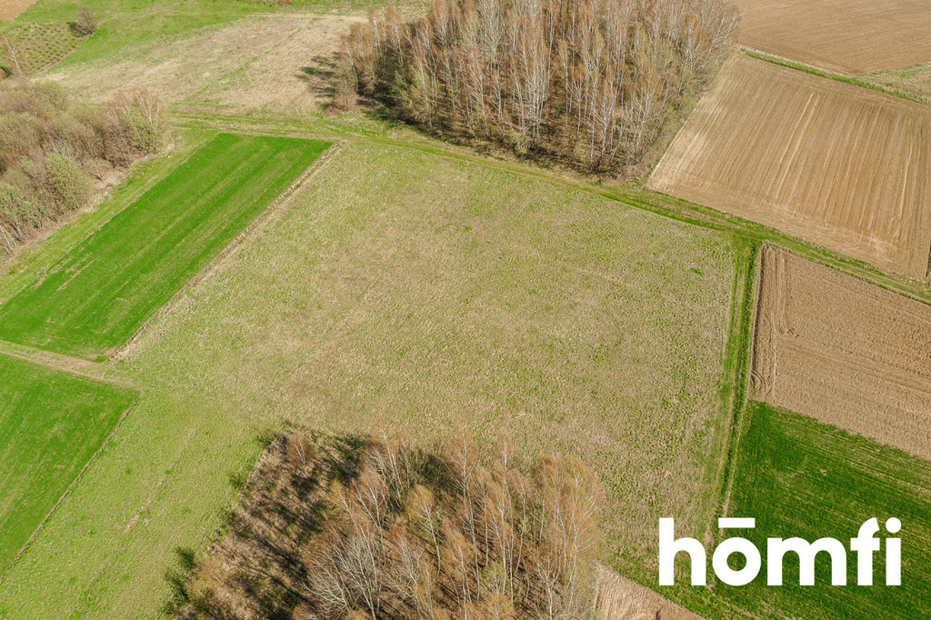 Działka budowlana 5500 m², Szkodna - zdjęcie 4