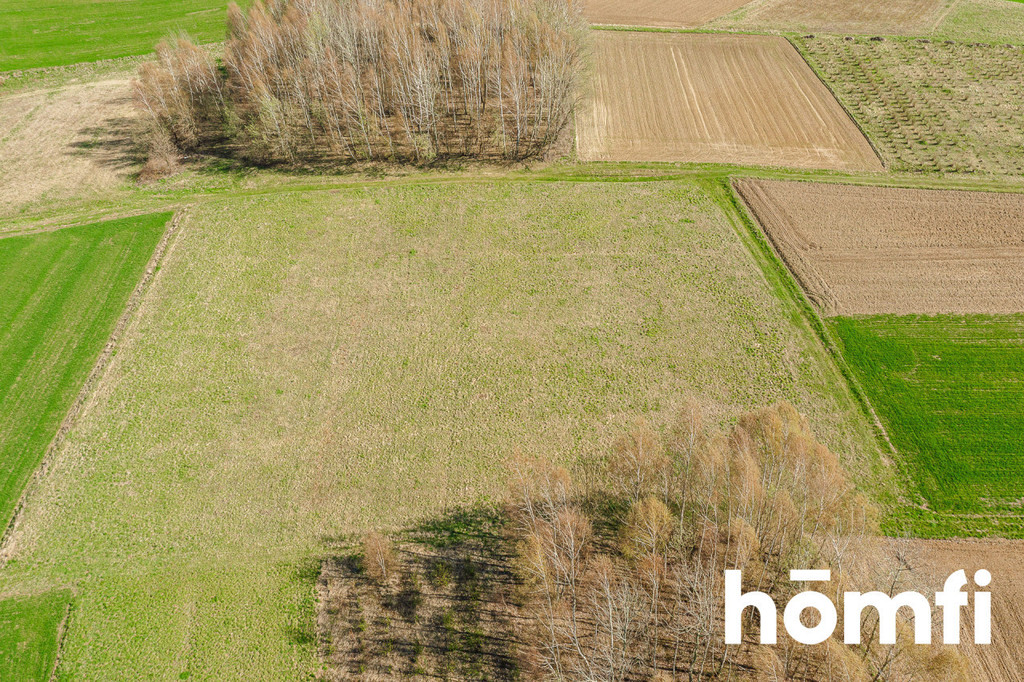 Działka budowlana 5500 m², Szkodna - zdjęcie 3
