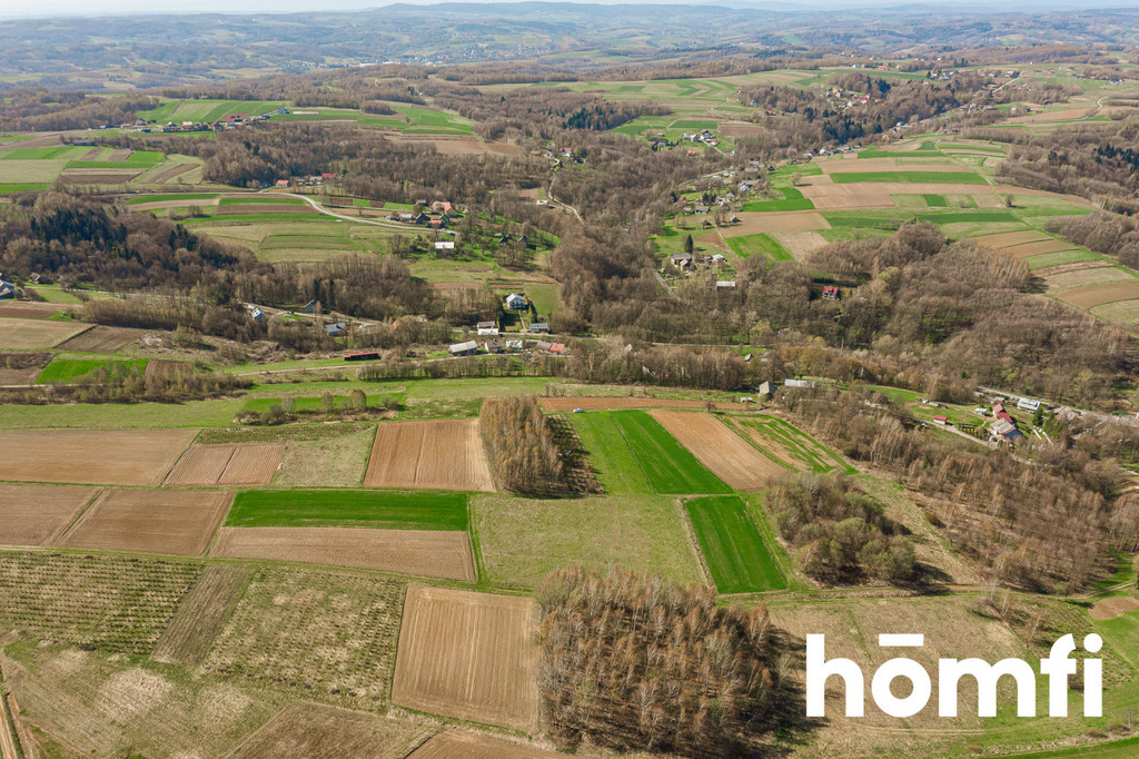 Działka budowlana 5500 m², Szkodna - zdjęcie 2